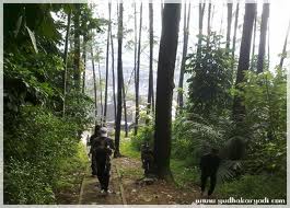 8 Tempat Terangker Dipulau Jawa [ www.BlogApaAja.com ]